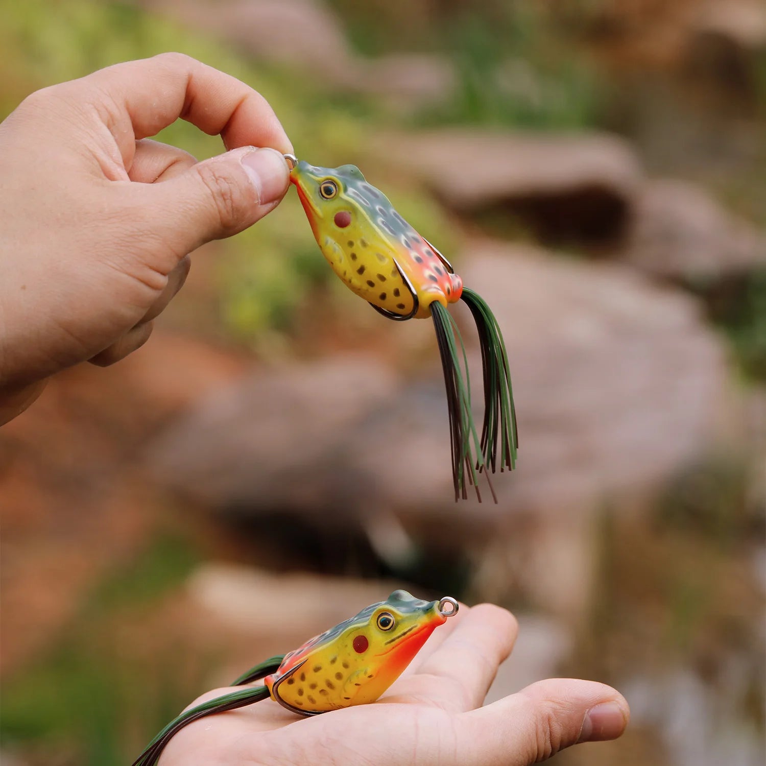 FROG - TROUT BOY