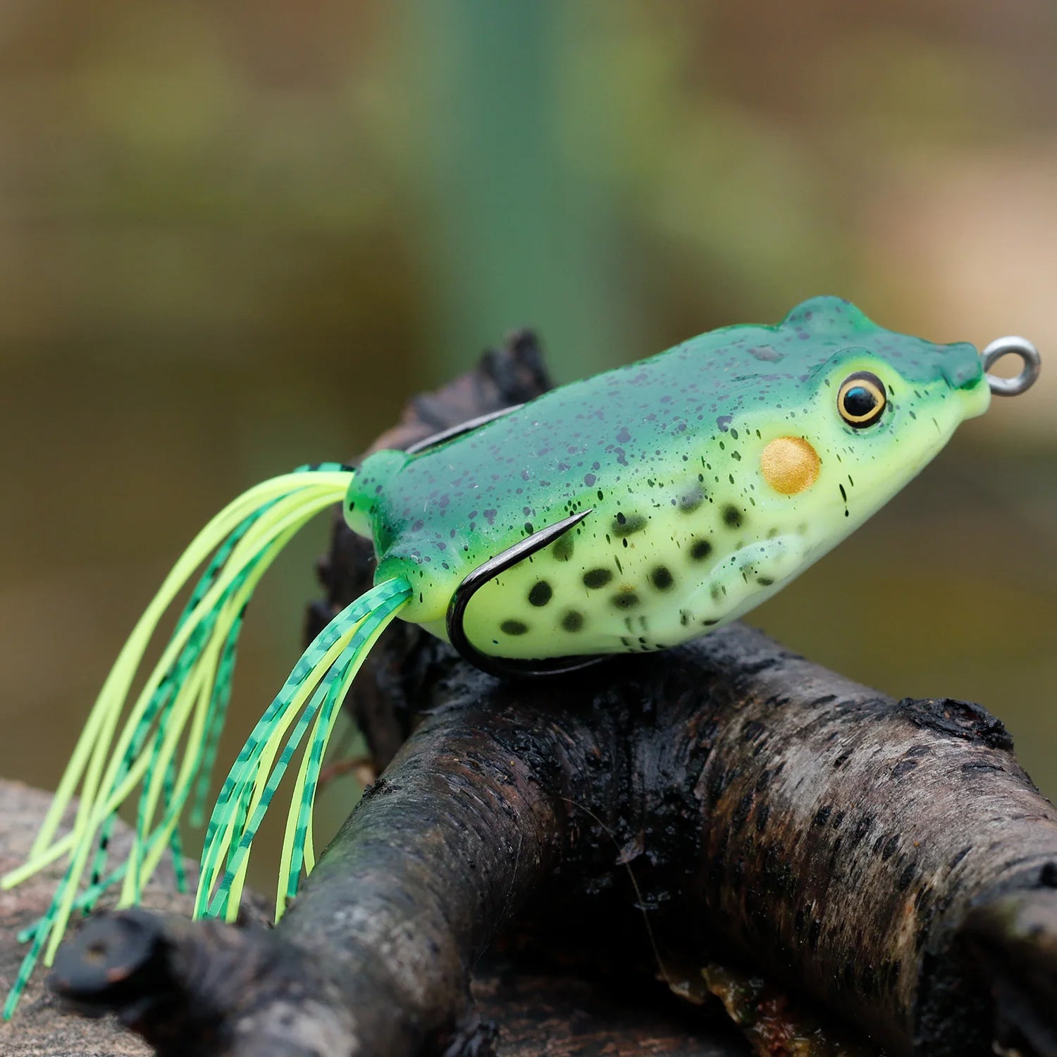 FROG - TROUT BOY