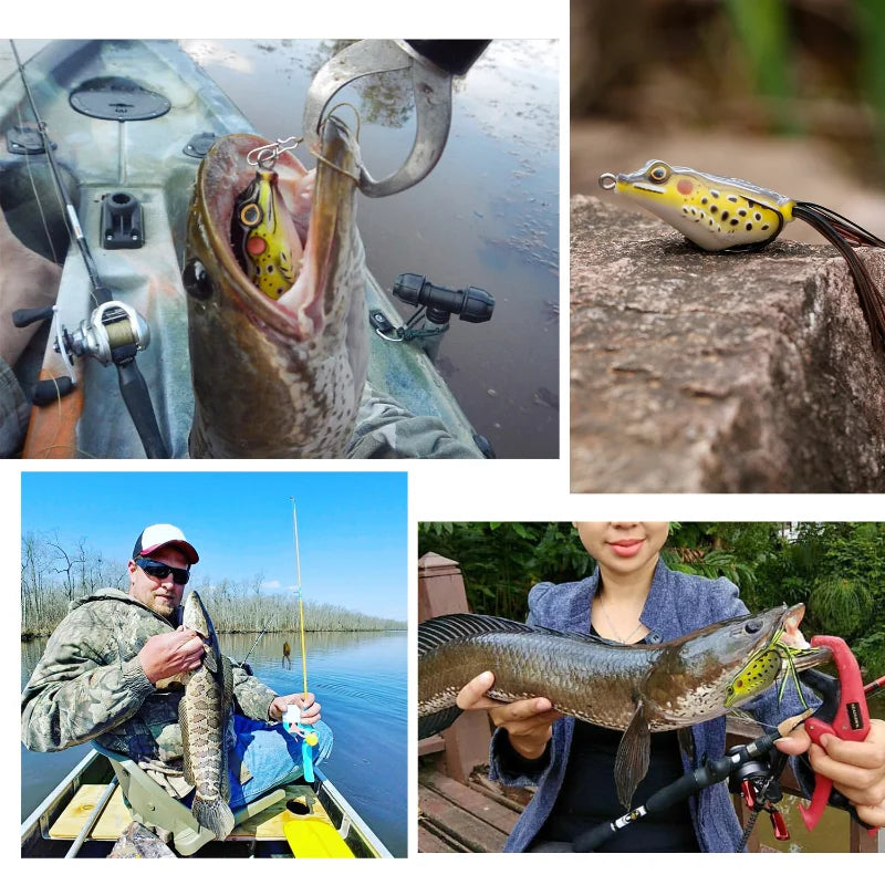 FROG - TROUT BOY