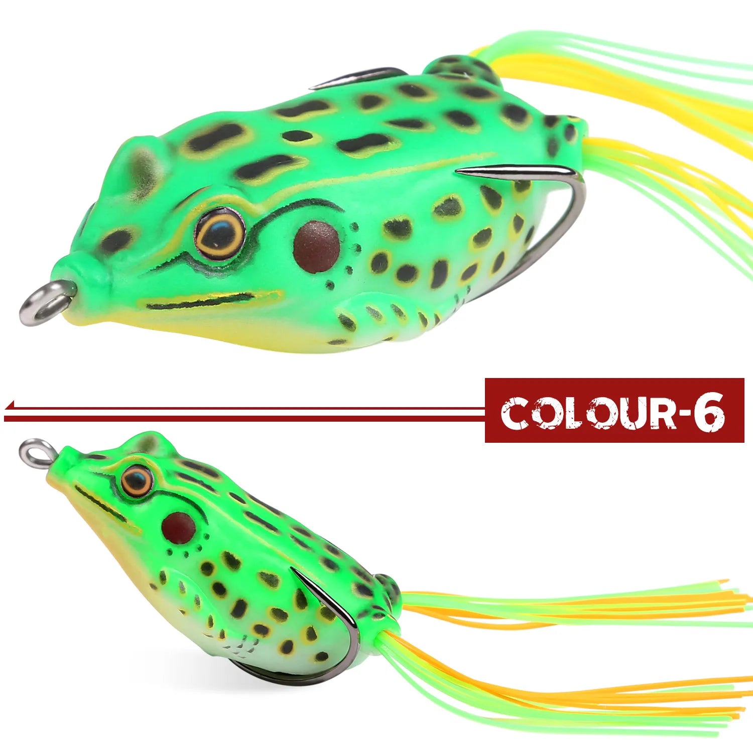 FROG - TROUT BOY