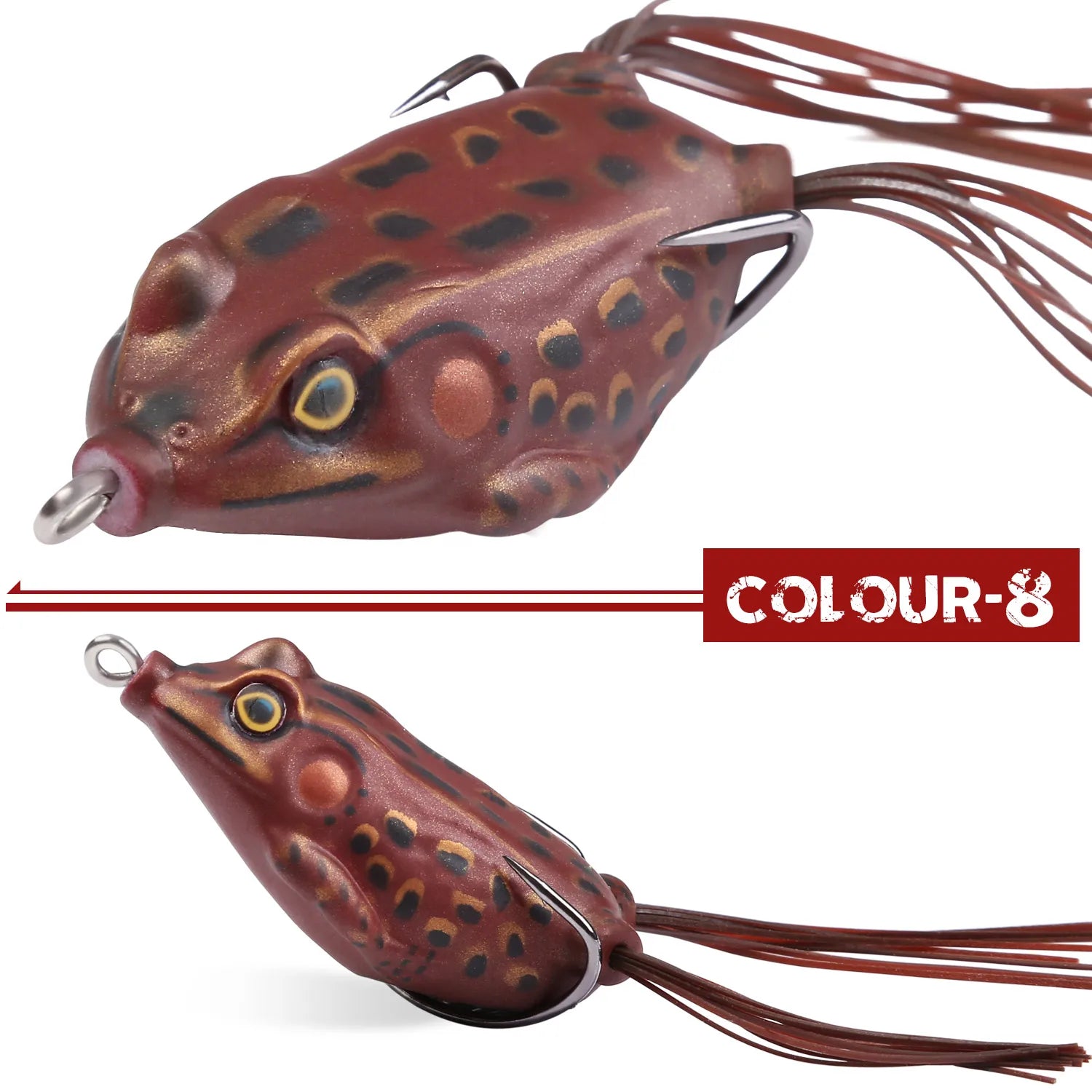 FROG - TROUT BOY