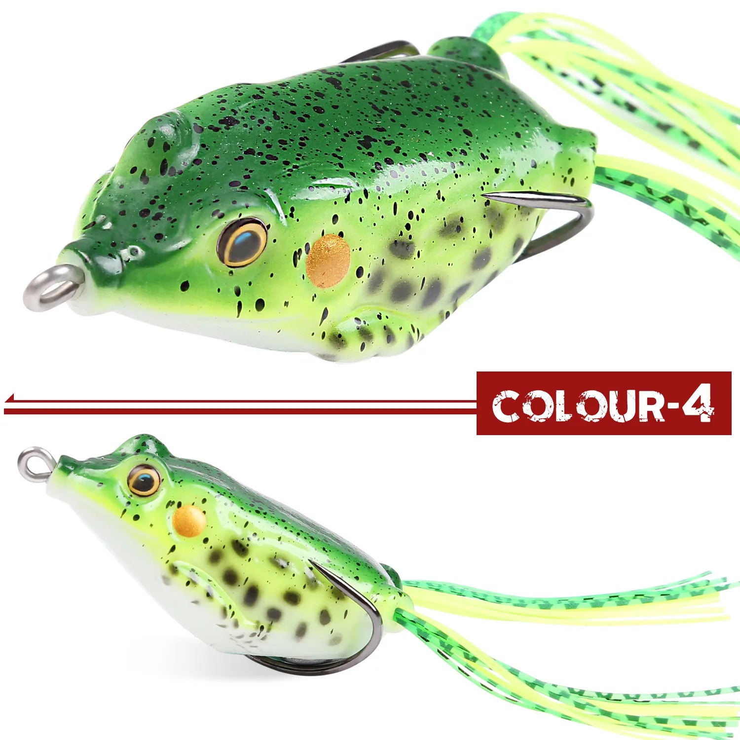 FROG - TROUT BOY