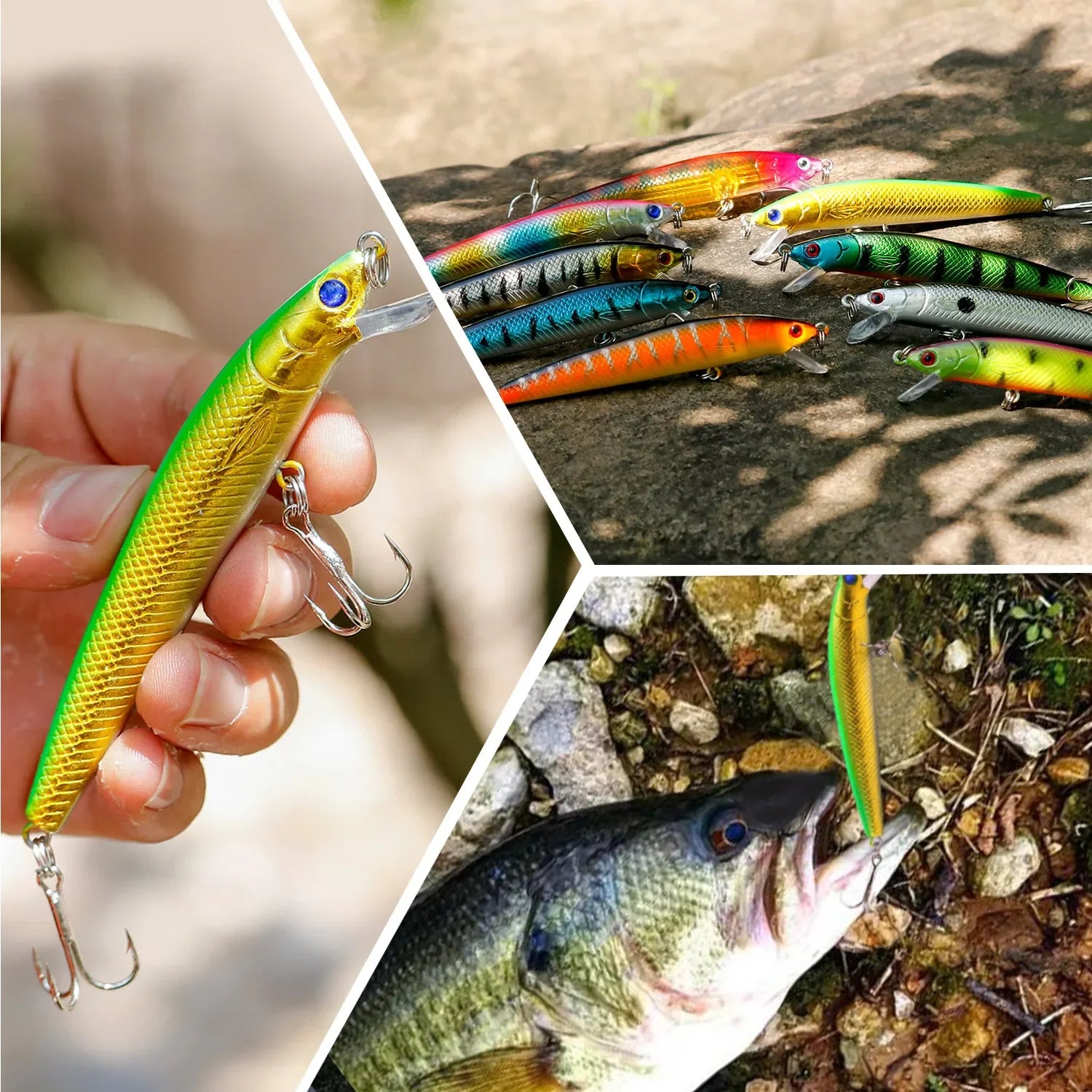 JUNGLE LURE
