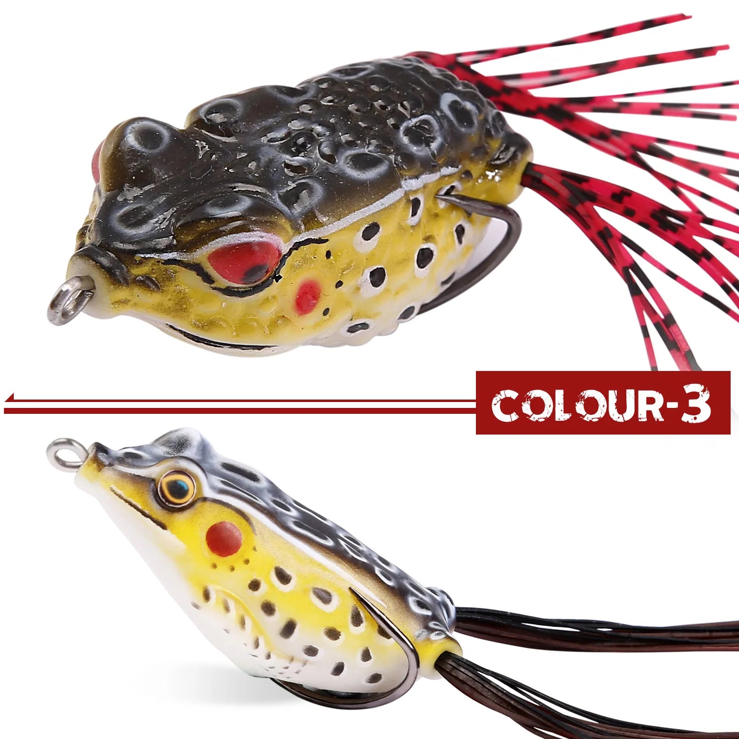 FROG - TROUT BOY